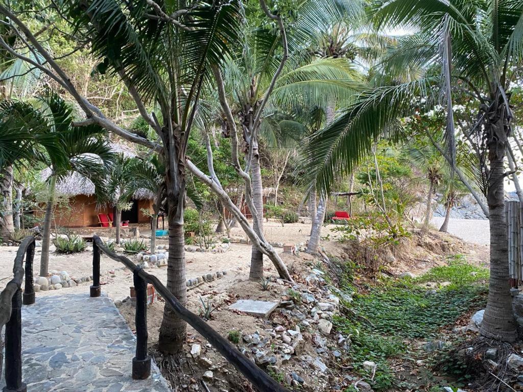Hotel Bahia De La Luna Arroyo Cruz Esterno foto